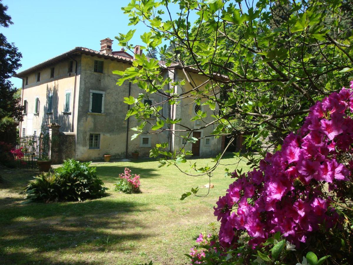 Bed & Breakfast Villa Masini-Luccetti 피에트라산타 외부 사진